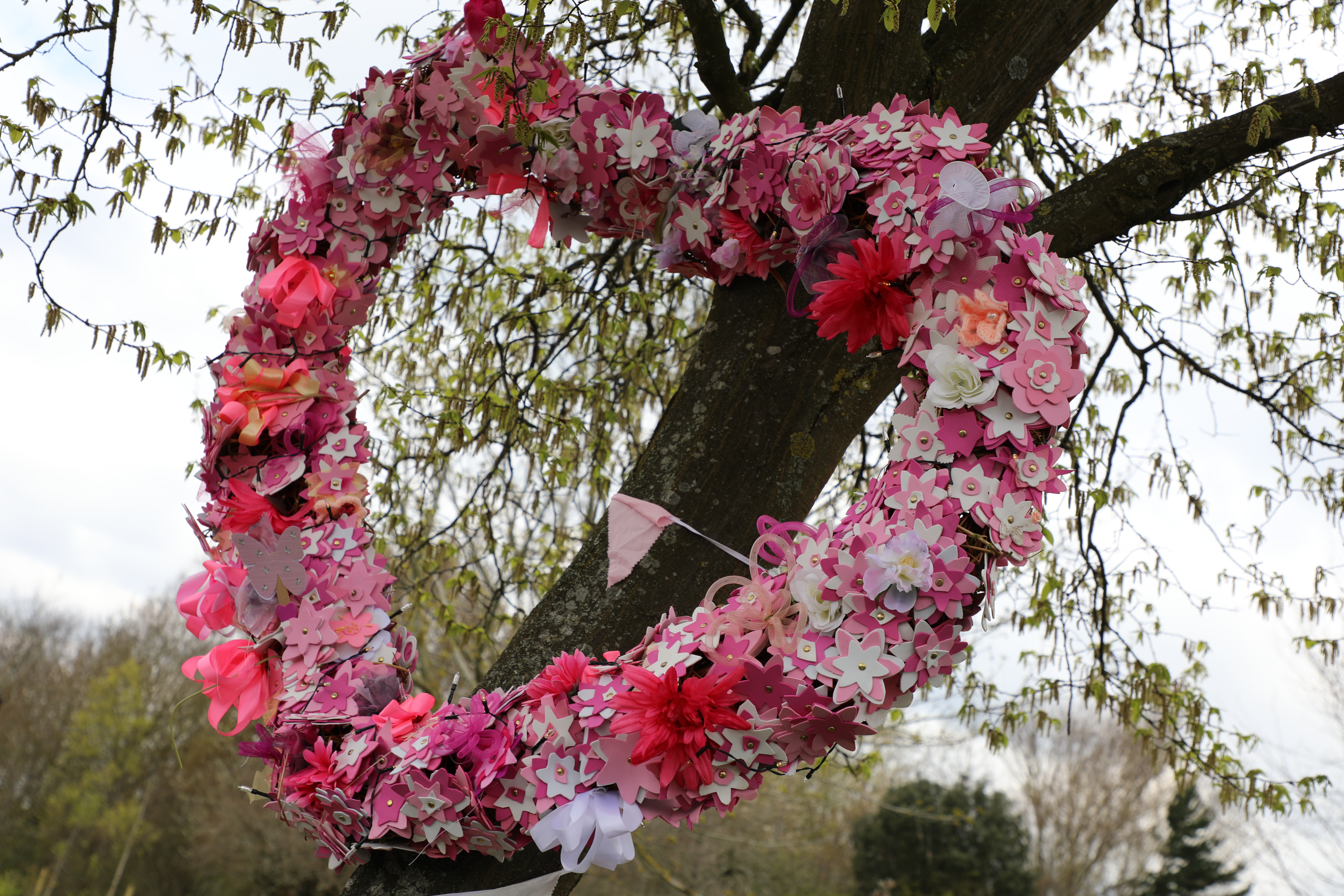 We blossomed with Kinmos and the National Trust in Kings Heath Park